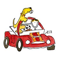 sporty car